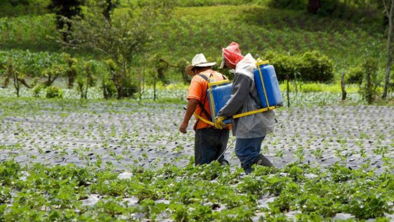 imagen web Maycol - 2026-08-05T205131.091