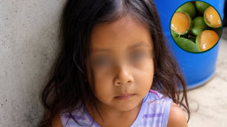 imagen web Maycol - 2026-08-09T101308.378