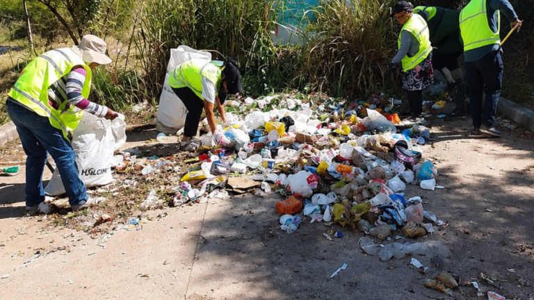 imagen web Maycol - 2026-08-09T141619.524