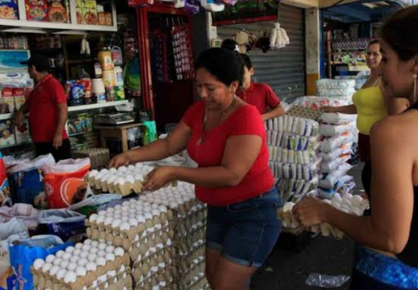 imagen web Maycol - 2026-08-28T204028.747