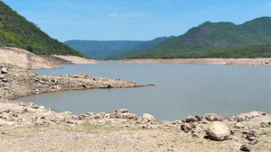 imagen web Maycol - 2026-08-30T080841.564