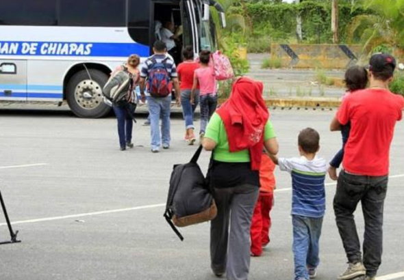 imagen web Maycol (24)
