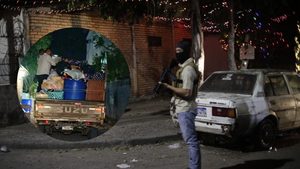 Imagen web Angie (1)