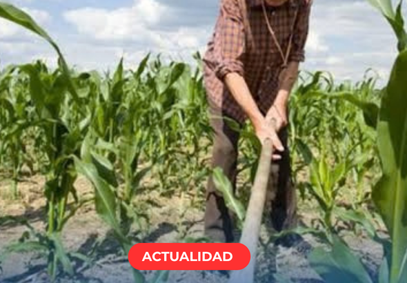 Plantilla canal 10 maycol - 2026-09-30T204350.773