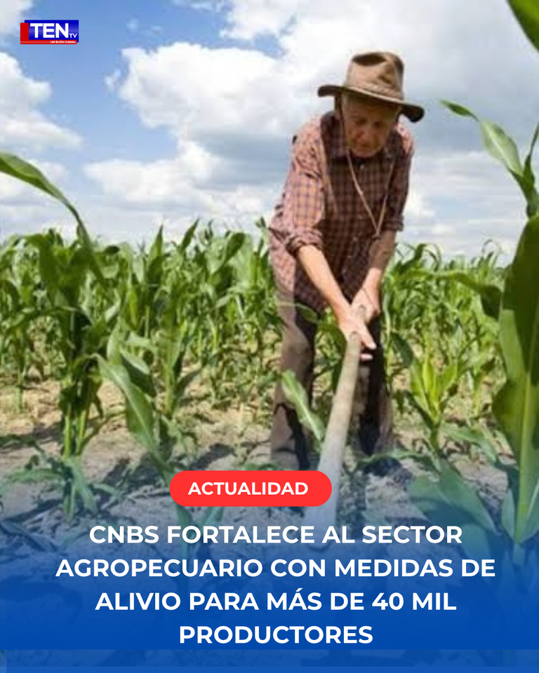 Plantilla canal 10 maycol - 2026-09-30T204350.773