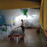 fumigacion-escuelas