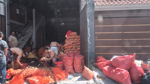 imagen web Maycol (18)