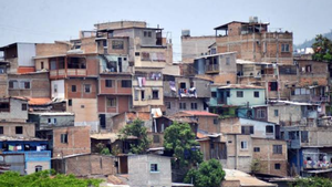 imagen web Maycol (20)
