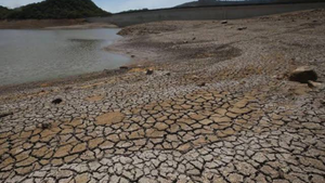 imagen web Maycol - 2026-09-03T213237.794