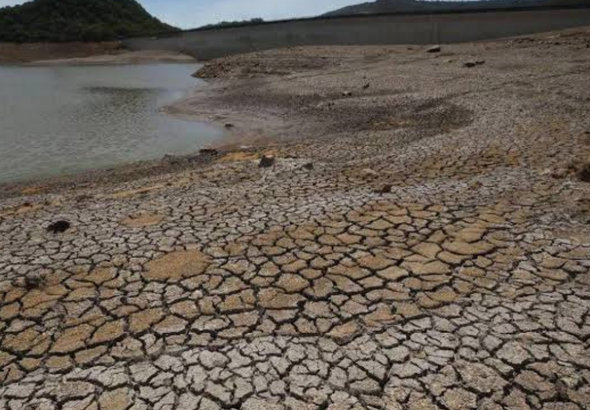 imagen web Maycol - 2026-09-03T213237.794