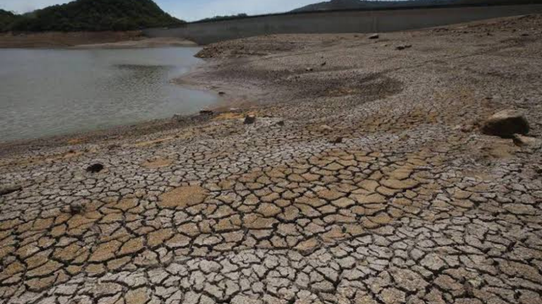 imagen web Maycol - 2026-09-03T213237.794
