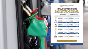 imagen web Maycol - 2026-09-06T112621.198