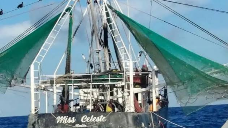 imagen web Maycol - 2026-09-07T210005.600