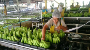 imagen web Maycol - 2026-09-09T192940.447