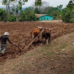 imagen web Maycol - 2026-09-09T212651.558