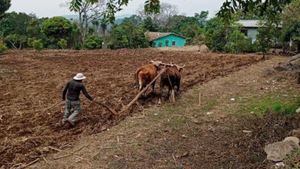 imagen web Maycol - 2026-09-09T212651.558
