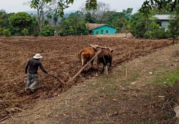 imagen web Maycol - 2026-09-09T212651.558