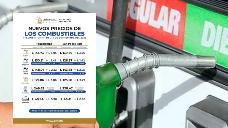 imagen web Maycol - 2026-09-12T154154.991