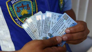 imagen web Maycol - 2026-09-25T202434.289