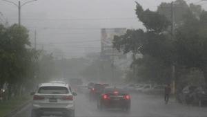 imagen web Maycol (45)