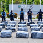 imagen web Maycol (47)