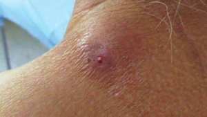 imagen web Maycol (5)