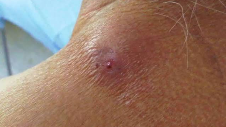 imagen web Maycol (5)