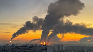 imagen web Maycol (52)