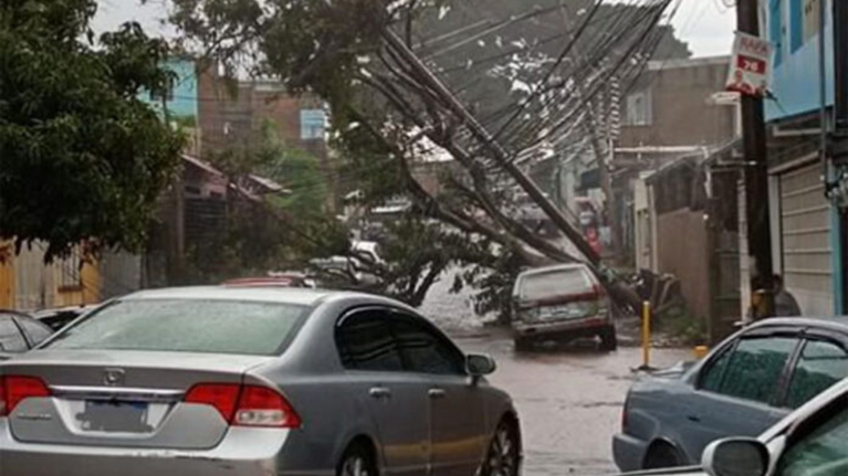 imagen web Maycol (66)