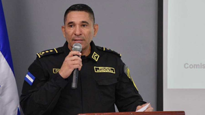 imagen web Maycol (86)
