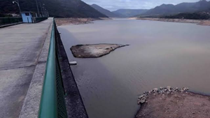 imagen web Maycol (92)