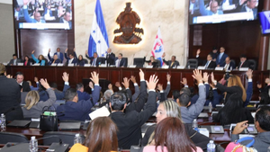 Copia de imagen web   - 2026-10-13T192351.417