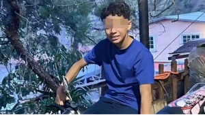 Imagen web Angie
