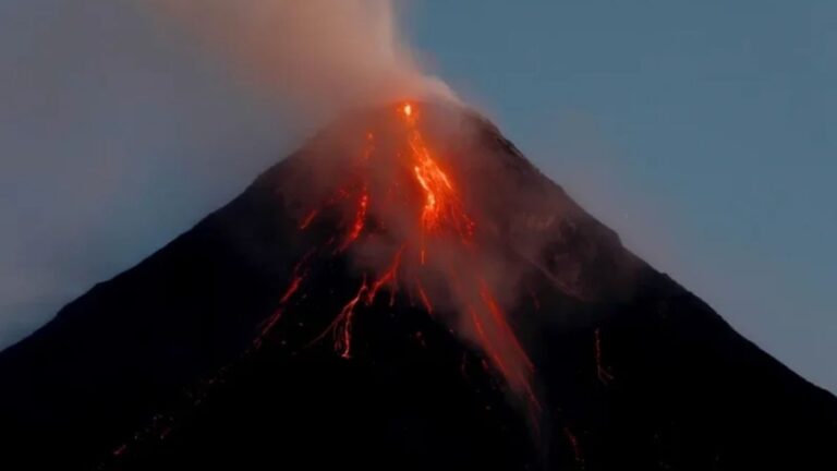 Imagen web Angie (4)